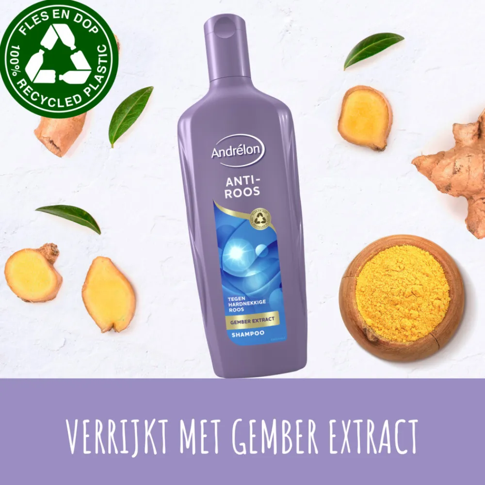 Andrélon Shampoo Anti Roos 300 ml