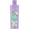 Andrélon Shampoo Volume Boost 300 ml