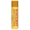 Burts Bees Lipbalm Honey