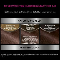 Garnier Olia Permanente Crèmekleuring 5.15 Kastanje Lichtbruin 1 set