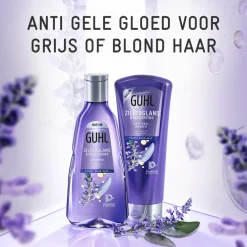 Guhl Zilverglans - Shampoo 1x 250 ml & Haarmasker 1x 200 ml - Pakket