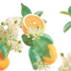 Kneipp Badolie Pure Harmony Sinaasappel - LindebloesemOntspan en kom tot rust met de ® Badolie Pure Harmony. Het hoge percentage etherische sinaasappelolie en lindebloesemextract in combinatie met de warme oranje kleur van het badwater werkt harmoniserend.Dermatologisch getestNiet parfumvrijPH NeutraalProefdiervrijVeganGeschikt voor alle huidtypen Gevarenaanduidingen Ontvlambaar Milieugevaarlijk Zeer licht ontvlambaar gas. Zeer licht ontvlambare aerosol. Zeer licht ontvlambare vloeistof en damp. Licht ontvlambare vloeistof en damp. Ontvlambare vaste stof. Ontvlambare aerosol. Ontvlambare vloeistof en damp. Zeer giftig voor in het water levende organismen. Zeer giftig voor in het water levende organismen, met langdurige gevolgen. Giftig voor in het water levende organismen, met langdurige gevolgen. Aanvullende informatie Hoe te gebruiken?Schroefdopje 1 keer vullen en badolie toevoegen aan het water (36-38ºC). Duur van het bad: 15-20 min. Dopje omspoelen.Ingrediënten:Polysorbate 20, Aqua (Water), Limonene, Linalool, Citrus Aurantium Dulcis (Orange) Peel Oil, Citrus Aurantium Amara (Bitter Orange) Leaf/Twig Oil, Parfum (Fragrance), Tilia Cordata Flower Extract, Geraniol, Citral, Citronellol, Benzyl Salicylate, Eugenol, Caprylic/Capric Triglyceride, Tocopherol, CI 15985. Ingrediënten Polysorbate 20, Aqua (Water), Limonene, Citrus Aurantium Amara (Bitter Orange) Oil, Parfum (Fragrance), Linalool, Citrus Aurantium Dulcis (Orange) Oil, Tilia Cordata Flower Extract, Citronellol, Benzyl Benzoate, Geraniol, Farnesol, Eugenol, Citral, Tocopherol, CI 15985. Bevat geen:conserveringsmiddelen Fabrikant informatie Merk: Ean: 4008233068428 Artikel: 043-107 Fabrikant gegevens: Adres: Vliegend Hertlaan 49 3526 KT Utrecht Nederland Contactgegevens: Tel: 030 281 3300 Email: [email protected] Website: https://www..com Reviews Schrijf jouw review Hoe controleren en plaatsen wij reviews? Plein plaatst enkel reviews van klanten en personen die het product daadwerkelijk gebruikt hebben, ook wanneer deze negatief of neutraal is. Voordat de review geplaatst wordt controleren we handmatig of deze écht is en voldoet aan onze reviewvoorwaarden. Wanneer het product op Plein gekocht is vermelden we dat bij de review. Plein betaalt niet voor reviews, wanneer een reviewer door een andere partij is vergoed staat dit erbij vermeld. Door Elien op 1 september 2022 | Heeft dit product gekocht Deze review is geschreven bij product Badolie Soft Skin Amandelbloesem 100 ml Verrukkelijke badolie met heerlijke geur en lekkere olie geen Super lekkere badolie Oorspronkelijk geplaatst op plein.nl Door Lydia Maria op 13 mei 2020 | Heeft dit product gekocht Deze review is geschreven bij product Badolie New Energy Rozemarijn 100 ml Zalig badmoment met deze olie Lekker genieten Heerlijke geur Super zacht en voedend voor de huid Mag ietsje beterkoop daar je in verhouding meer verbruikt dan badcreme of badschuim Heerlijk relaxen en tegelijk je huid laten verwennen met deze badolie van Oorspronkelijk geplaatst op plein.nl Door Morvenna op 17 december 2014 | Heeft dit product gekocht Deze review is geschreven bij product Badolie Relaxing Lavendel 100 ml Lekkere badolie, vooral in de winter als het koud is, kan je heerlijk ontspannen. Al een paar jaar mijn favoriet. Oorspronkelijk geplaatst op plein.nl Door Els op 11 december 2014 | Heeft dit product gekocht Deze review is geschreven bij product Badolie Refreshing Eucalyptus 100 ml Heerlijk na een week drukte Frisse geur Lichaam en geest komen tot rust erg lekkere badolie. Als ik het een weekje druk gehad heb kan ik altijd heerlijk relaxen door de frisse geur. Echt een aanrader Oorspronkelijk geplaatst op plein.nl Bekijk alle reviews Badolie Pure Harmony Sinaasappel - Lindebloesem 100 ml
