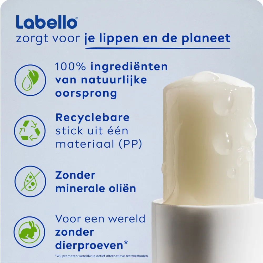 Labello Lippenbalsem Blister Original