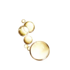 LOréal L'Oréal Elvive Extraordinary Oil Haarolie 100 ml