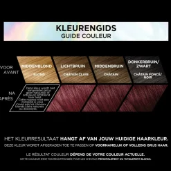 LOréal L'Oréal Preference Vivids Permanente Haarkleuring 5.260 Violet
