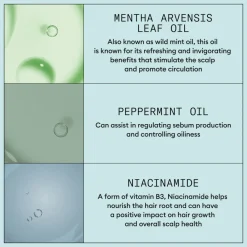 Nioxin Scalp Recovery Kit 3 stuks