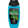 Palmolive Men Sport 3-in-1 douchegel met etherische oliën van munt en cedernaalden 250 ml