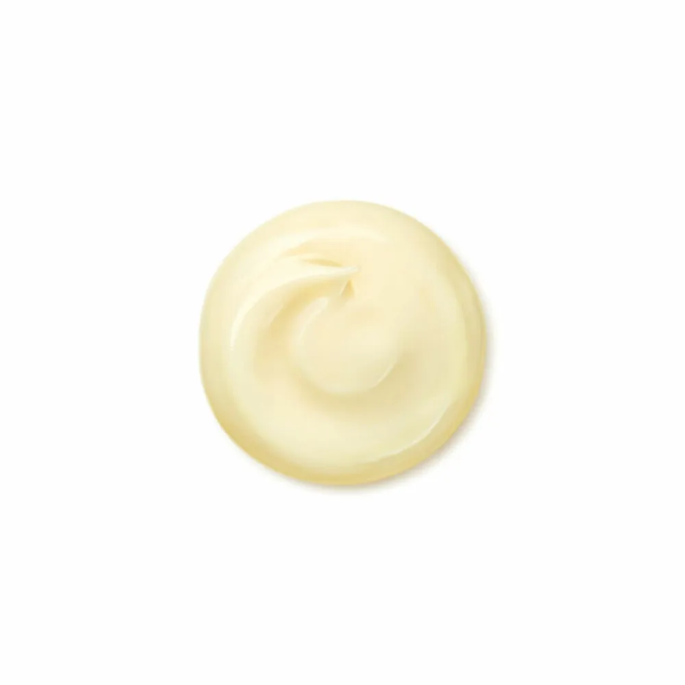 Shiseido Benefiance Wrinkle Smoothing Cream Enriched 50 ml