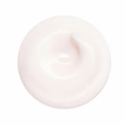 Shiseido Essential Energy Hydrating Cream 50 ml