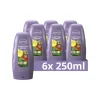 Andrélon 6x Conditioner Aloe Vera Repair 250 ml