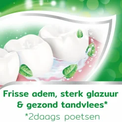 Aquafresh 12x Tandpasta Anti-Caries 75 ml
