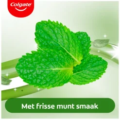 Colgate 12x Tandpasta Triple Action Extra Fresh 75 ml