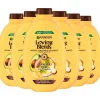 Garnier 6x Loving Blends Avocado Olie en Shea Boter Shampoo 300 ml