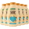 Garnier 6x Loving Blends Rijke Argan Shampoo 300 ml