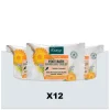 Kneipp 12x Voetbadbruistablet Calendula 80 gr