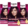 Palette 3x Intensive Creme Haarkleuring 4-99 Aubergine