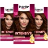 Palette 3x Intensive Oil-Care Color Haarkleuring 650 Kastanje Middenbruin