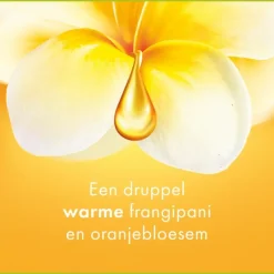 Palmolive 12x Douchegel Aroma Essences Forever Happy 250 ml