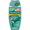 Palmolive 12x Douchegel Thermal Revitalising Gel 250 ml