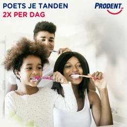 Prodent 12x Tandpasta Cool Mint 75 ml
