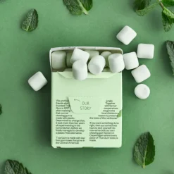 True Gum 24x Mint 21 gr